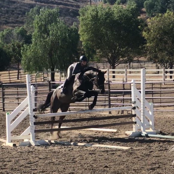 Meet your Posher, Julianna - Picture 1 of 2